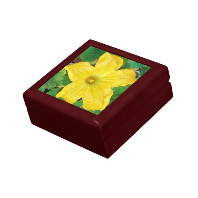 Zucchini Flower Gift Box (Side)