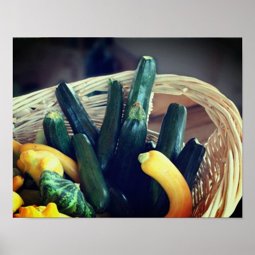 Zucchini Summer Squash Gourds Vegetables  Poster