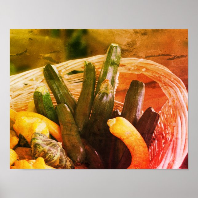 Zucchini Summer Squash Gourds Vegetables Vintage Poster (Front)