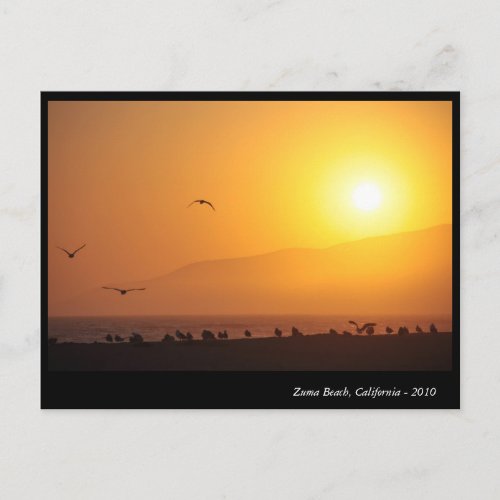 Zuma Beach California Holiday Postcard