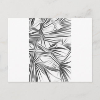 Zwart Wit Print Black White Print Plant Postcard