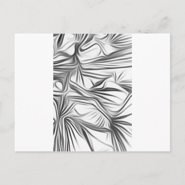 Zwart Wit Print Black White Print Plant Postcard (Front)