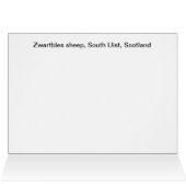 Zwartbles sheep cards (Inside Horizontal (Top))