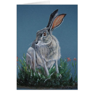 Zydeco Jack Rabbit Cards