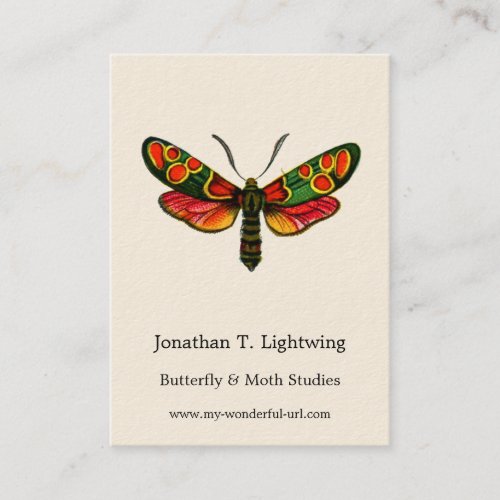Zygaena carniolica _ The Crepuscular Burnet Moth Business Card