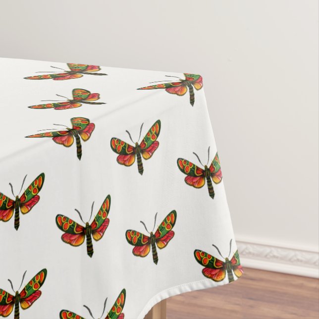 Zygaena carniolica - The Crepuscular Burnet Moth Tablecloth (In Situ)