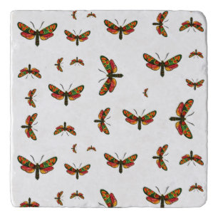 Zygaena carniolica - The Crepuscular Burnet Moth Trivet