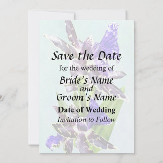 Zygo Advance Australia HOF Save the Date