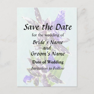 Zygo Advance Australia HOF Save the Date Announcement Postcard