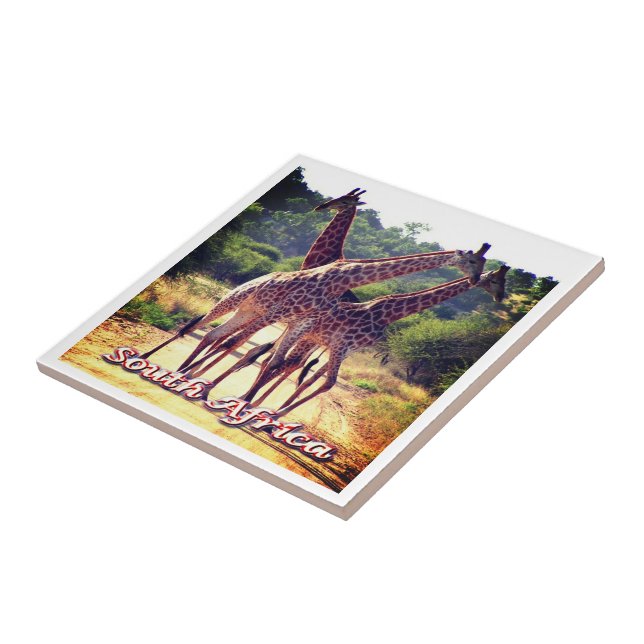 zZA011 SOUTH AFRICA, Giraffes, Ceramic Tile (Side)