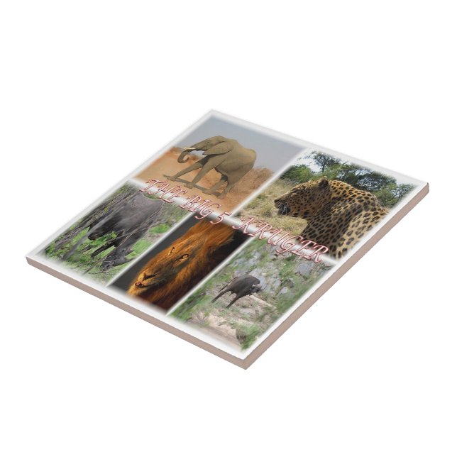 zZA027 SOUTH AFRICA, THE BIG 5 in KRUGER NP  Ceramic Tile (Side)