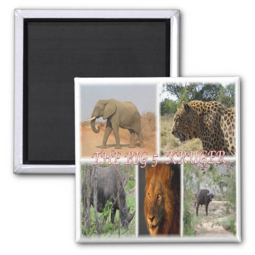 zZA027 SOUTH AFRICA THE BIG 5 in KRUGER NP Fridge Magnet