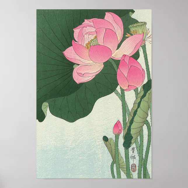 東風終（岩峰啓一）作品『蓮の花／Lotus flower』 不忍池 蓮の花 東京都台東区上野 - HIMATSUBUSHI